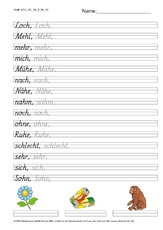 DSS_2S_Bu_h_Nr_06.pdf